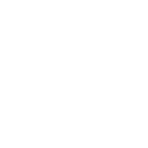 LOGO badger